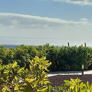 The Black Horse Canarias - Adults Only Landhuis Maspalomas (Gran Canaria)