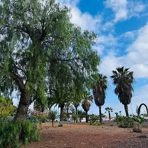 https://marysol-lovely-studio-tenerife-sur.tenerifehoteles.net
