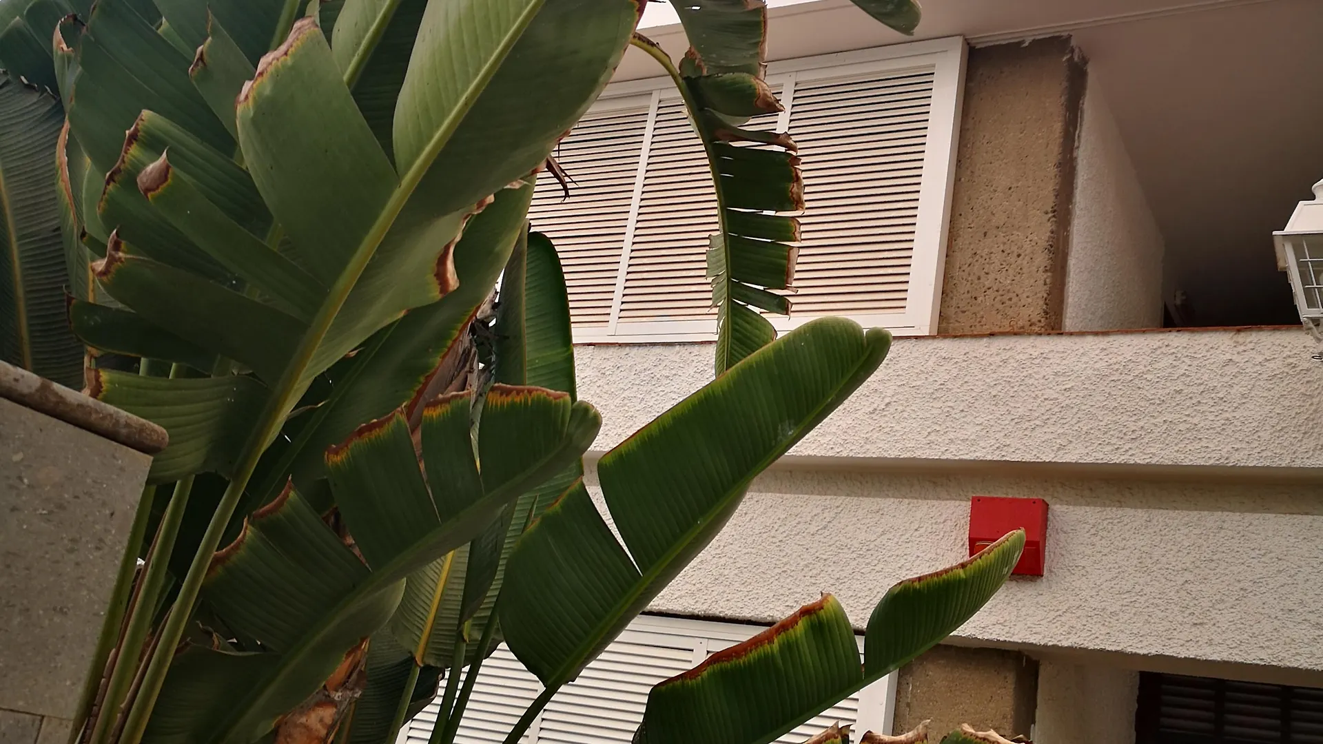 Apartamentos Tamara Maspalomas